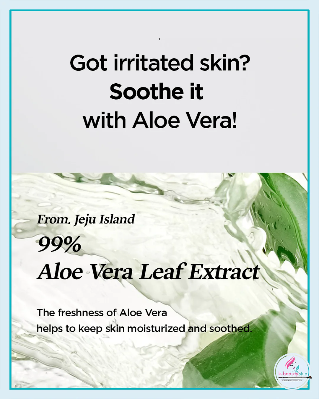 aloe vera 10 fach Aloe Vera 10:1